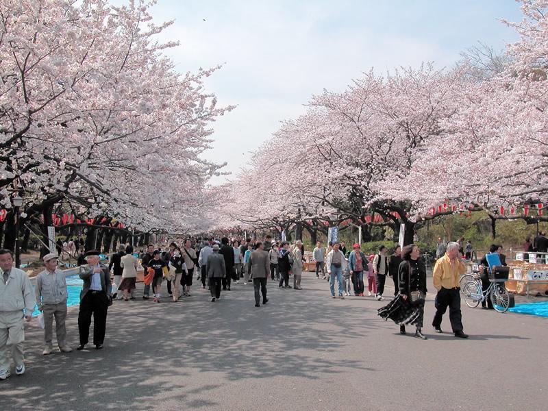 Mervielle Ueno Tokyo Dış mekan fotoğraf